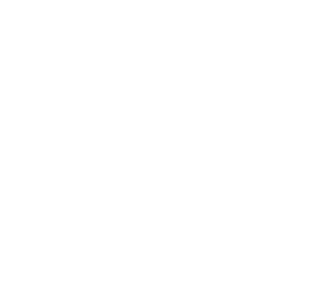 لوگوی چین پارس