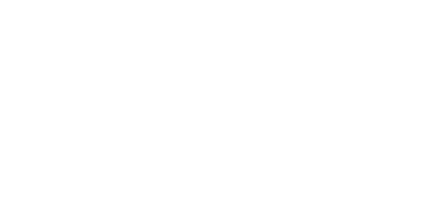 چین پارس