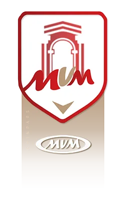 ام وی ام